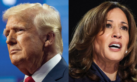 Celebrity Supporters of Trump and Harris